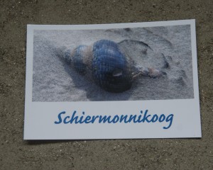 Ansichtkaarten, Schiermonnikoog